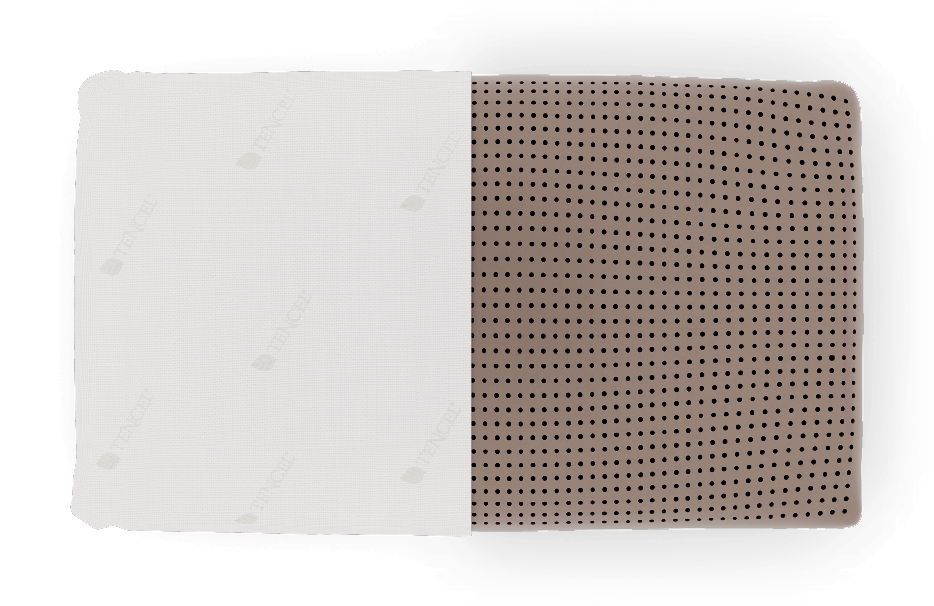 Aurora High Pillow - Coconut